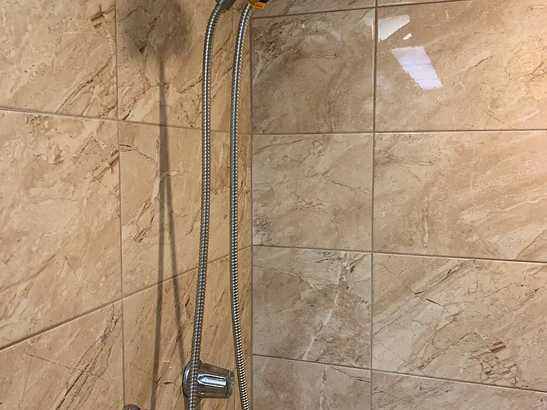 Master Bathroom Shower