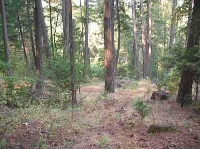 2nd image of 6595 Boulder Dr