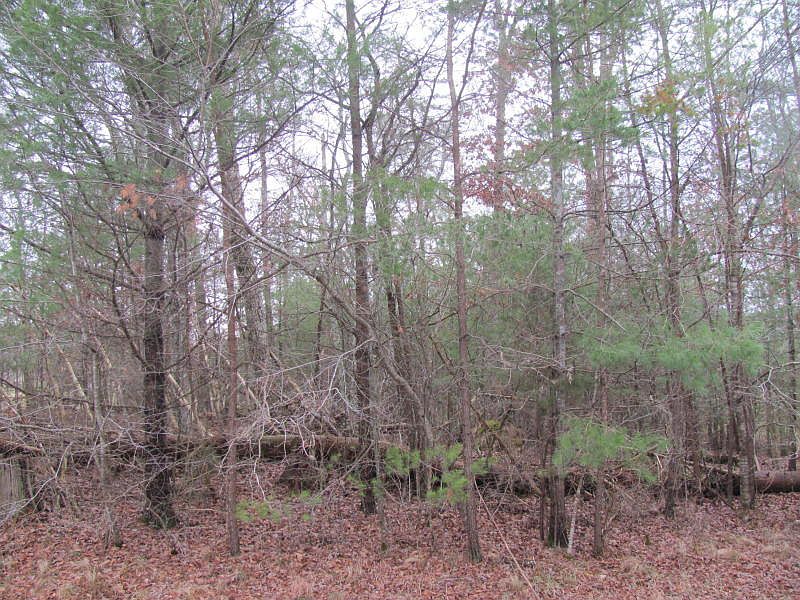 1st image of 101 Forest View Dr Lot 1