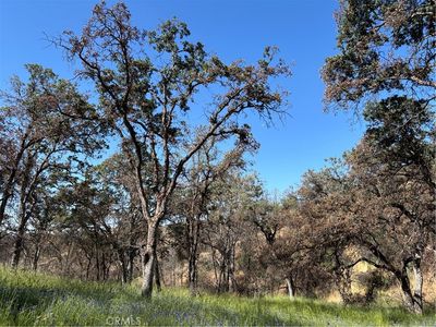 5358 Mariposa Hts, Mariposa, CA, 95338