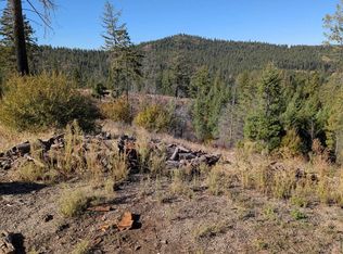 42484 Mount Moriah Way, Loon Lake, WA 99148