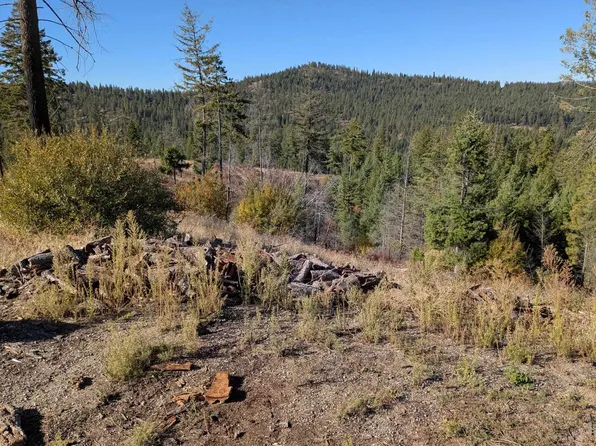 42484 Mount Moriah Way, Loon Lake, WA 99148