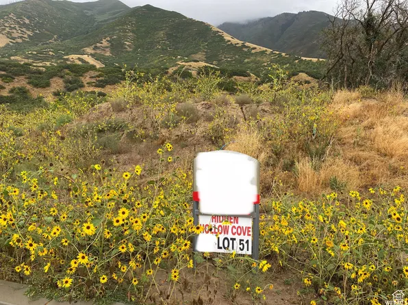 3617 S Mapleton Estates Dr E, Mapleton, UT 84664