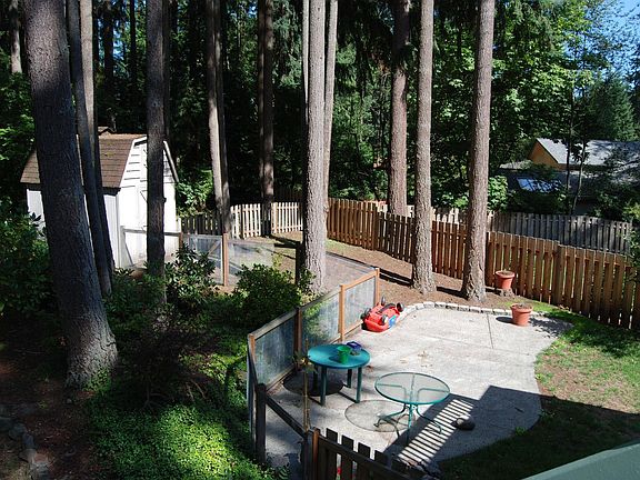Patio in back yard