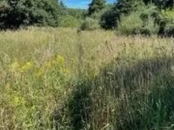 V/l E Madison Rd, Hart, MI 49420