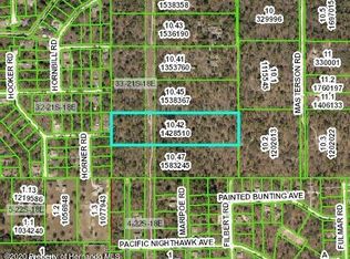 0 Purple Sandpiper Ave, Brooksville, FL 34614