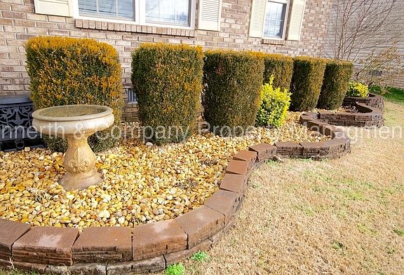 2nd image of 2608 Cider Dr