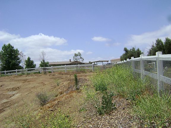 back pasture views