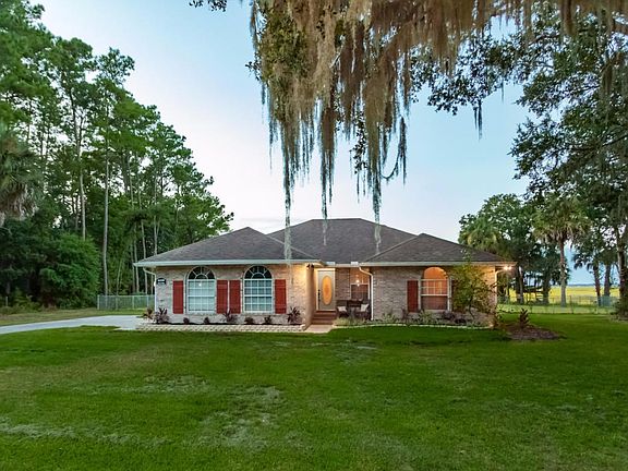 03 with moss draping from the trees