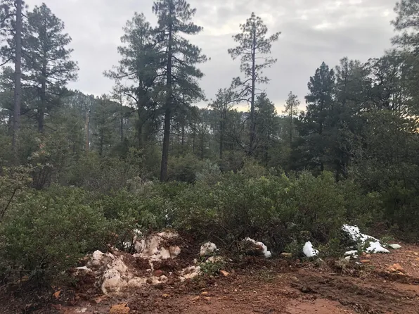 95 N Wagon Wheel Way, Pine, AZ 85544