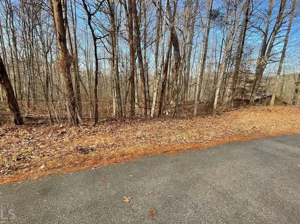 53 Timber Line Dr, Young Harris, GA 30582