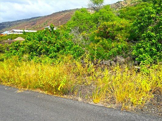 2nd image of Eiwa Lot 38