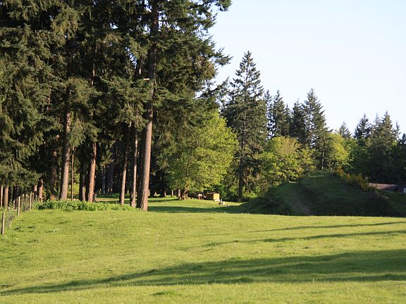 pasturelands