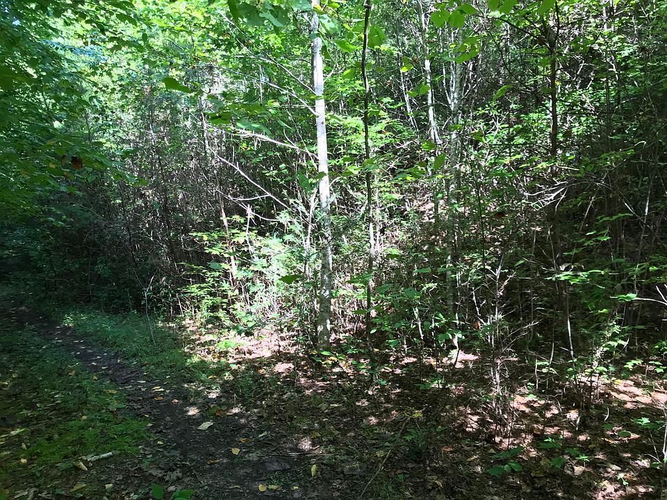 2nd image of Coy Rhea Way