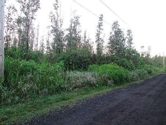 1st image of 39th Ave Lot 40