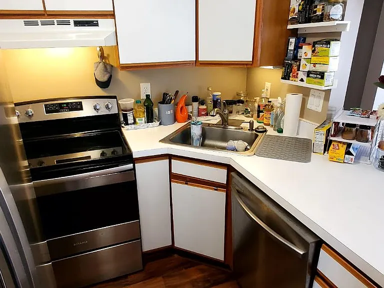 42551 Lilley Pointe Dr — Photo 21