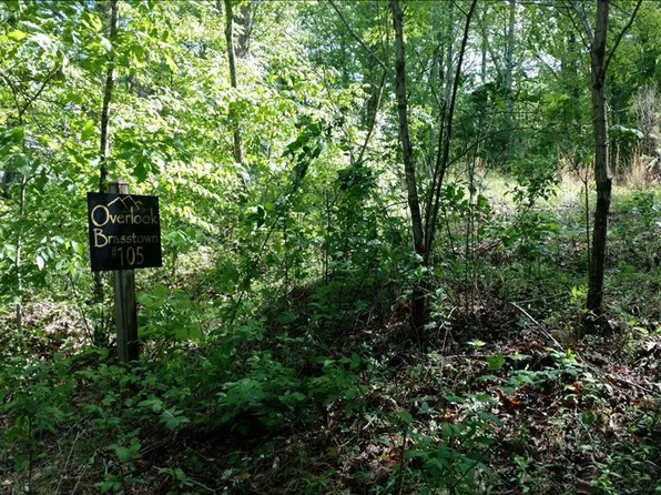 L-105 Brasstown Rd, Brasstown, NC 28902