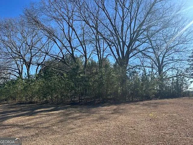 3511 New High Shoals Rd photo 1