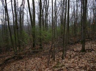 164 Brummage Rd, Richford, NY 13835