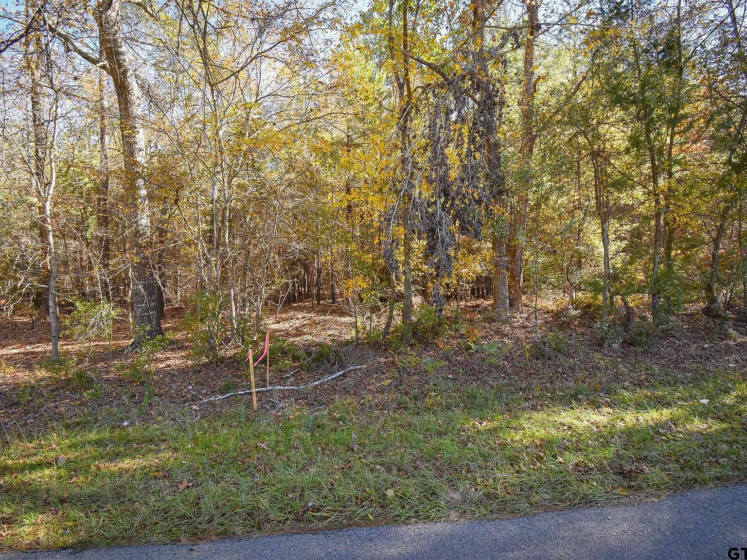 Big Oak Bay Rd TRACT 1, Tyler, TX 75707 MLS 24012295 Zillow