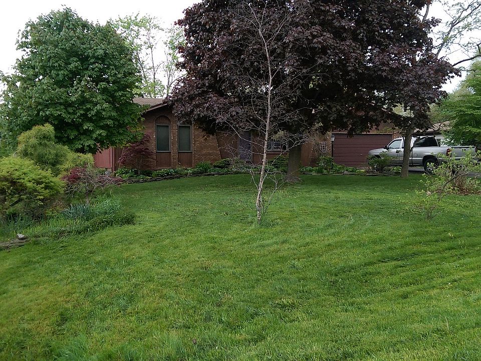 Beautiful Yard