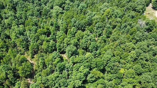 1st image of 000 County Road 434