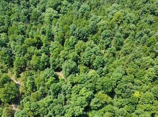 000 County Road 434, Birch Tree, MO 65438
