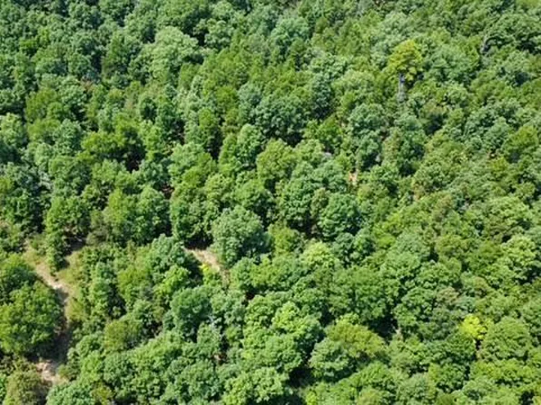 000 County Road 434, Birch Tree, MO 65438