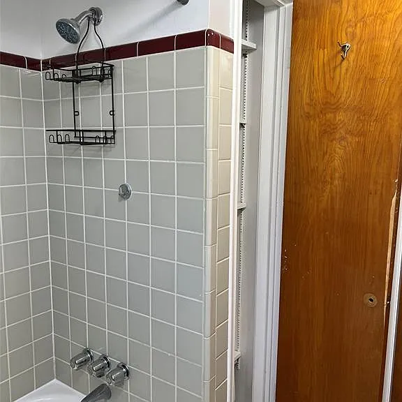 310 Albany St — Photo 17
