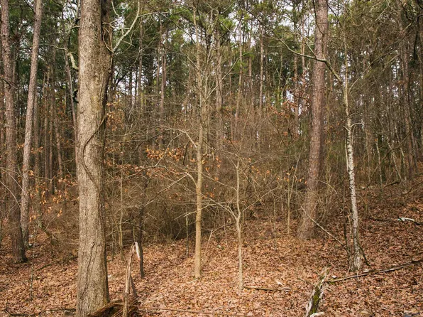 Pence Dr, Roland, AR 72135