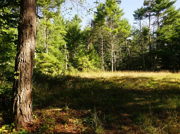 N9105 Flood -- Lot 5 Road, Black River Falls, WI 54615