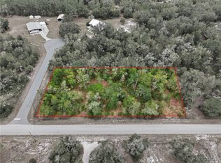 9920 N Pink Moss Point, Crystal River, FL 34428