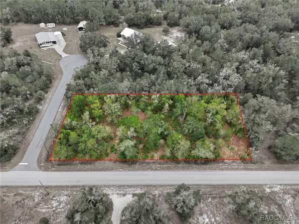 9920 N Pink Moss Point, Crystal River, FL 34428