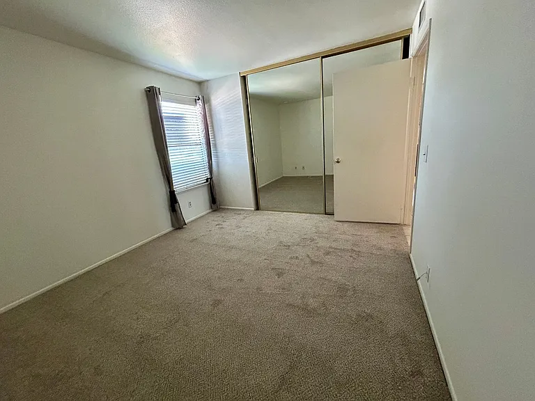 446 Orange Blossom — Photo 10