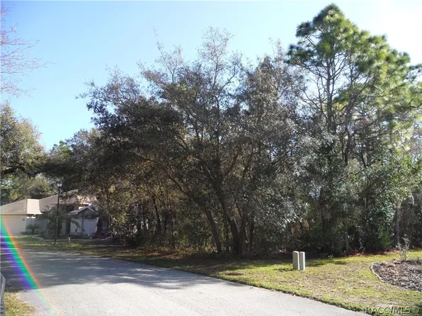 10 Impatiens Ct, Homosassa, FL 34446