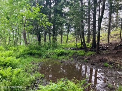 Nna Gold Cup Mountain Rd, Priest River, ID, 83856
