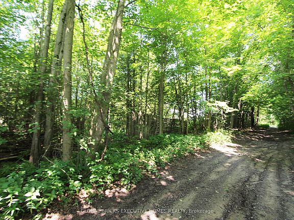 5th image of 0 Webster Rd