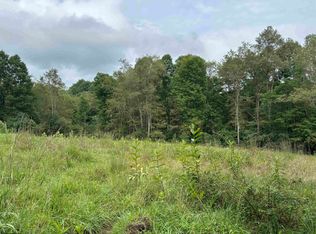 96 Donnie Hill Rd, Belington, WV 26250