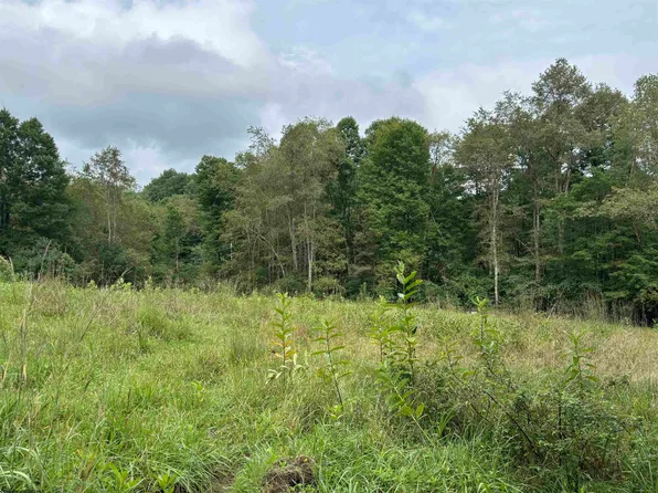 96 Donnie Hill Rd, Belington, WV 26250