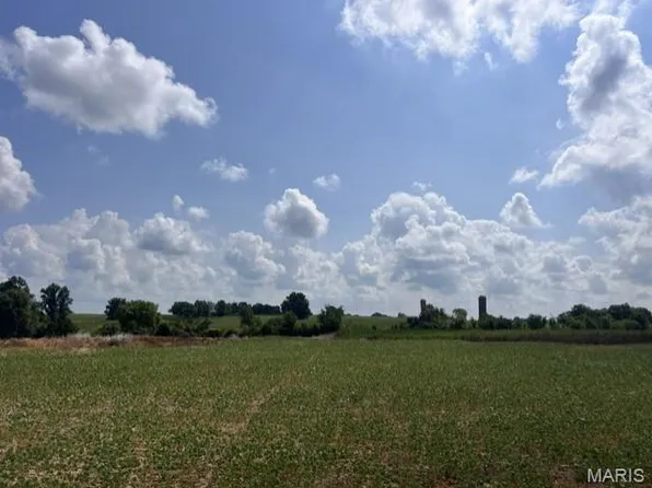 Palo Pinto Dr, O'Fallon, MO 63366