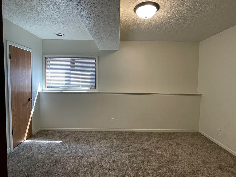 Large lower level Bedroom #3 with walk-in closet