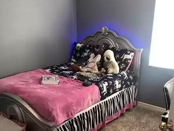 3rd image of 6411 Cypressdale Dr