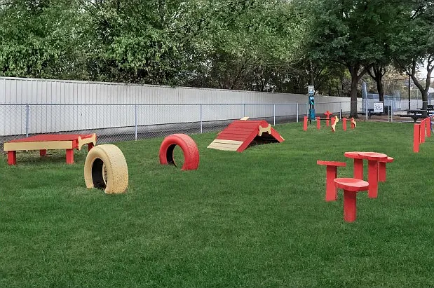 Dog Park