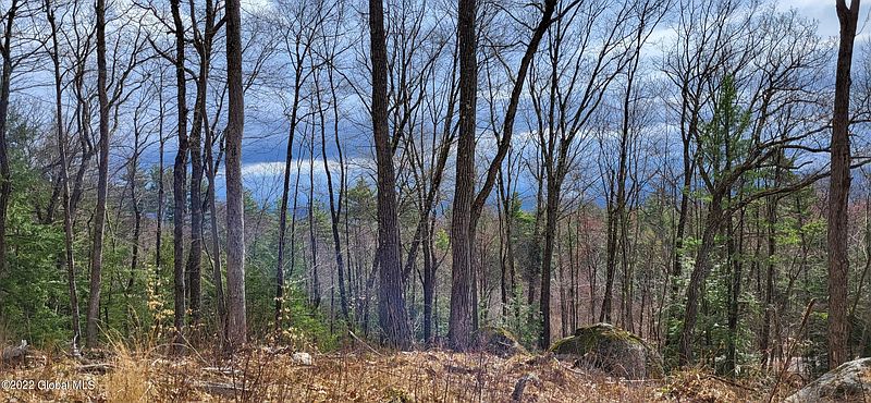 2nd image of L3 Clendon Brook Road #ADIRONDACK PK