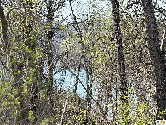 4th image of 0 Wells Landing Rd