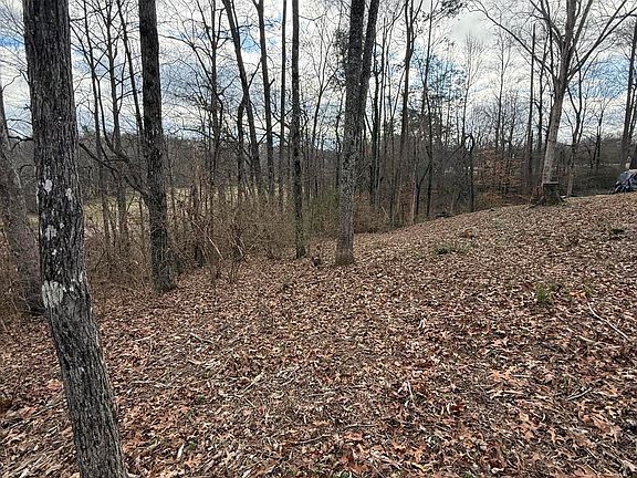 4th image of Melissa Ln