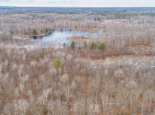 1446 Flinton Rd, Tweed, ON K0H 1P0