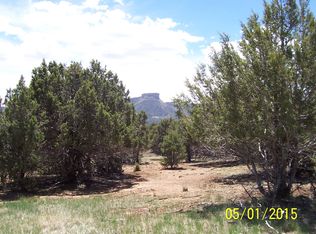 9748 Road 35.4, Mancos, CO 81328