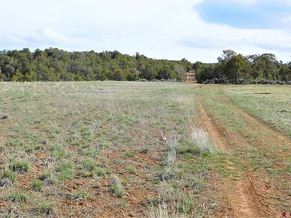 4th image of 700 County Road 1c