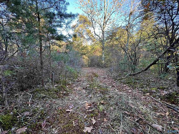 4th image of County Road 52